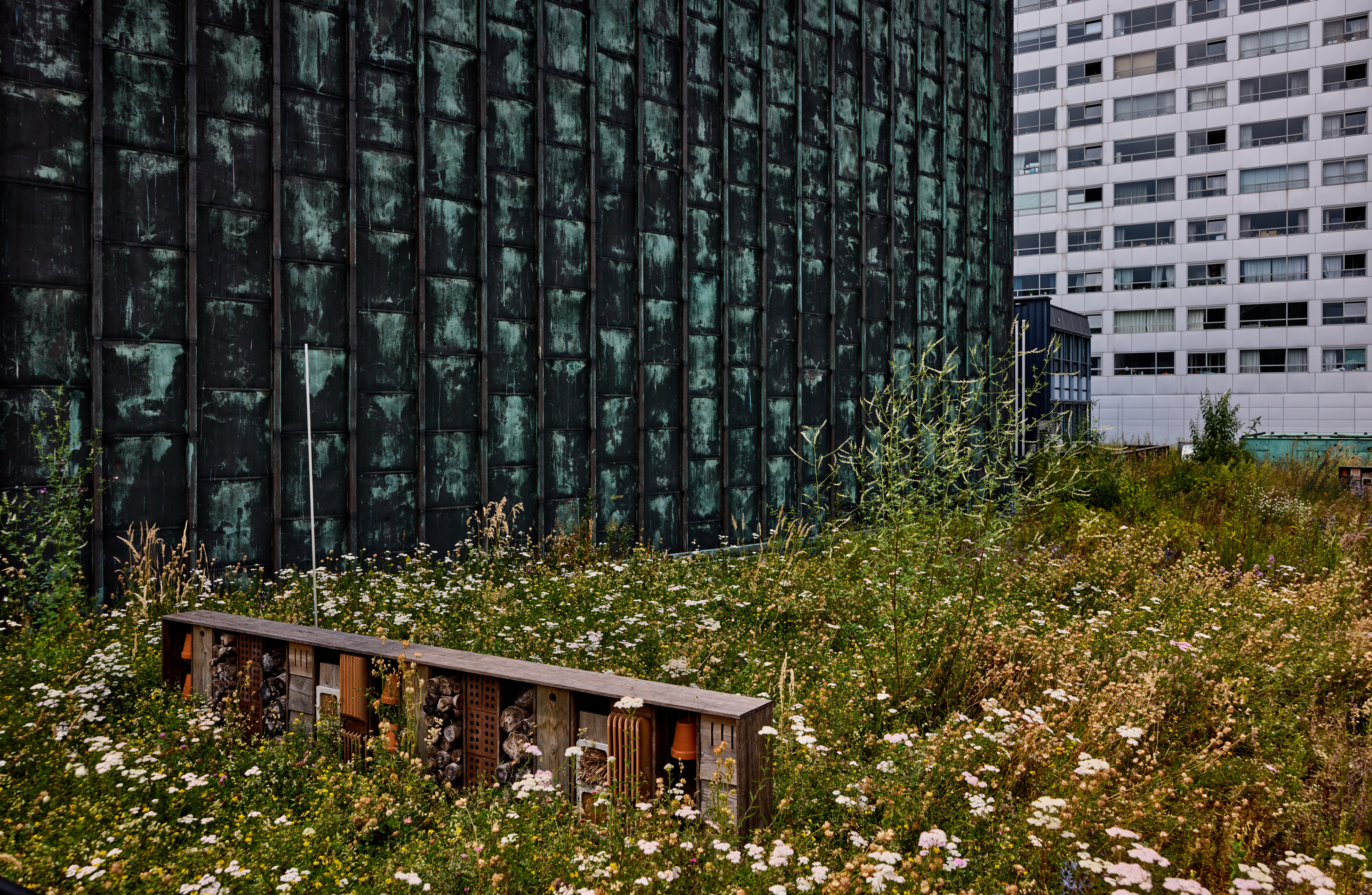 Bijenhotel omgeven door diverse planten op het dak van het gebouw de Doelen in Rotterdam.