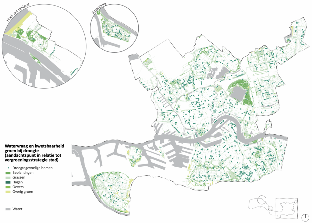 Boom- en groenstructuren kwetsbaar voor droogte. (Beeld: Defacto Stedenbouw, Bron data: Gisweb-viewer Rotterdam)

