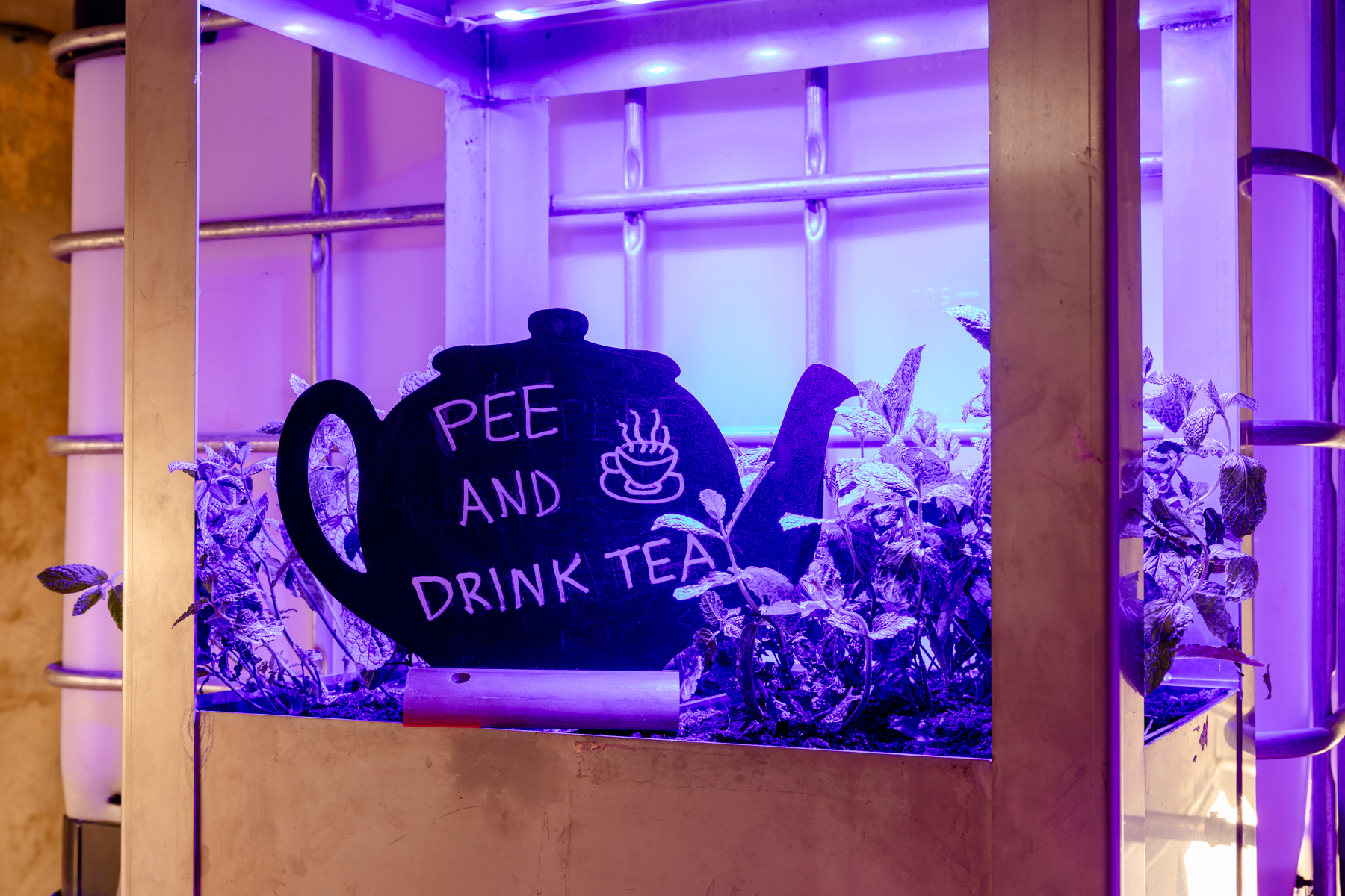 Planten in een plantenbak onder kunstlicht. In het midden staat een bord in de vorm van een theekop met de tekst 'pee and drink tea'.