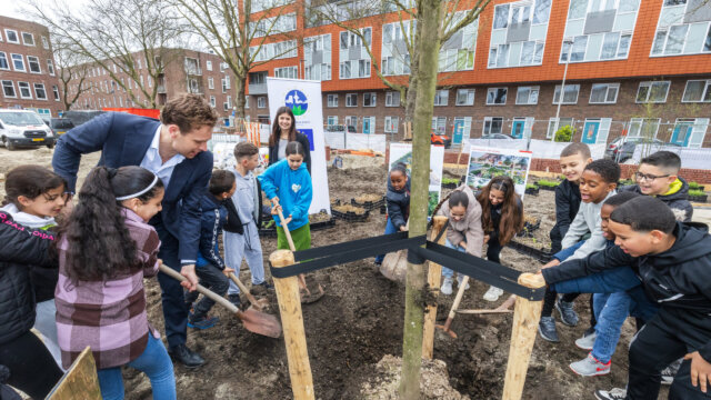 Wethouder Vincent Karremans en basisschoolkinderen planten samen de eerste boom op het Driehoeksplein.